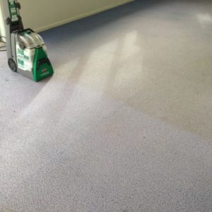 Auckland carpet cleaning company